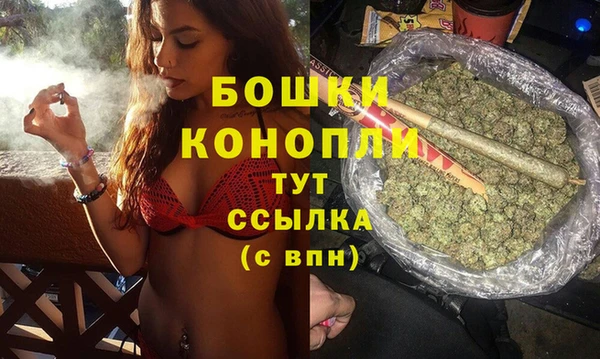 дурь Алзамай