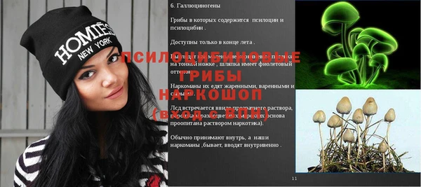эйфоретик Алексин