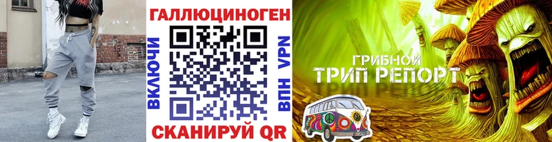 Галлюциногенные грибы Psilocybine cubensis  Тюмень 